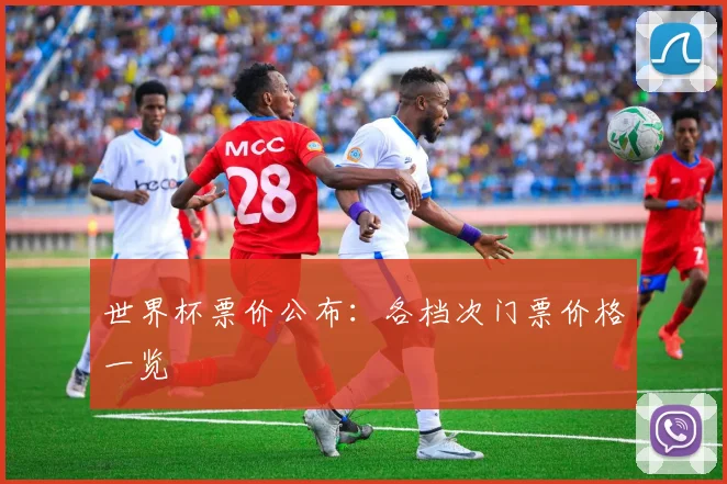 世界杯票价公布：各档次门票价格一览